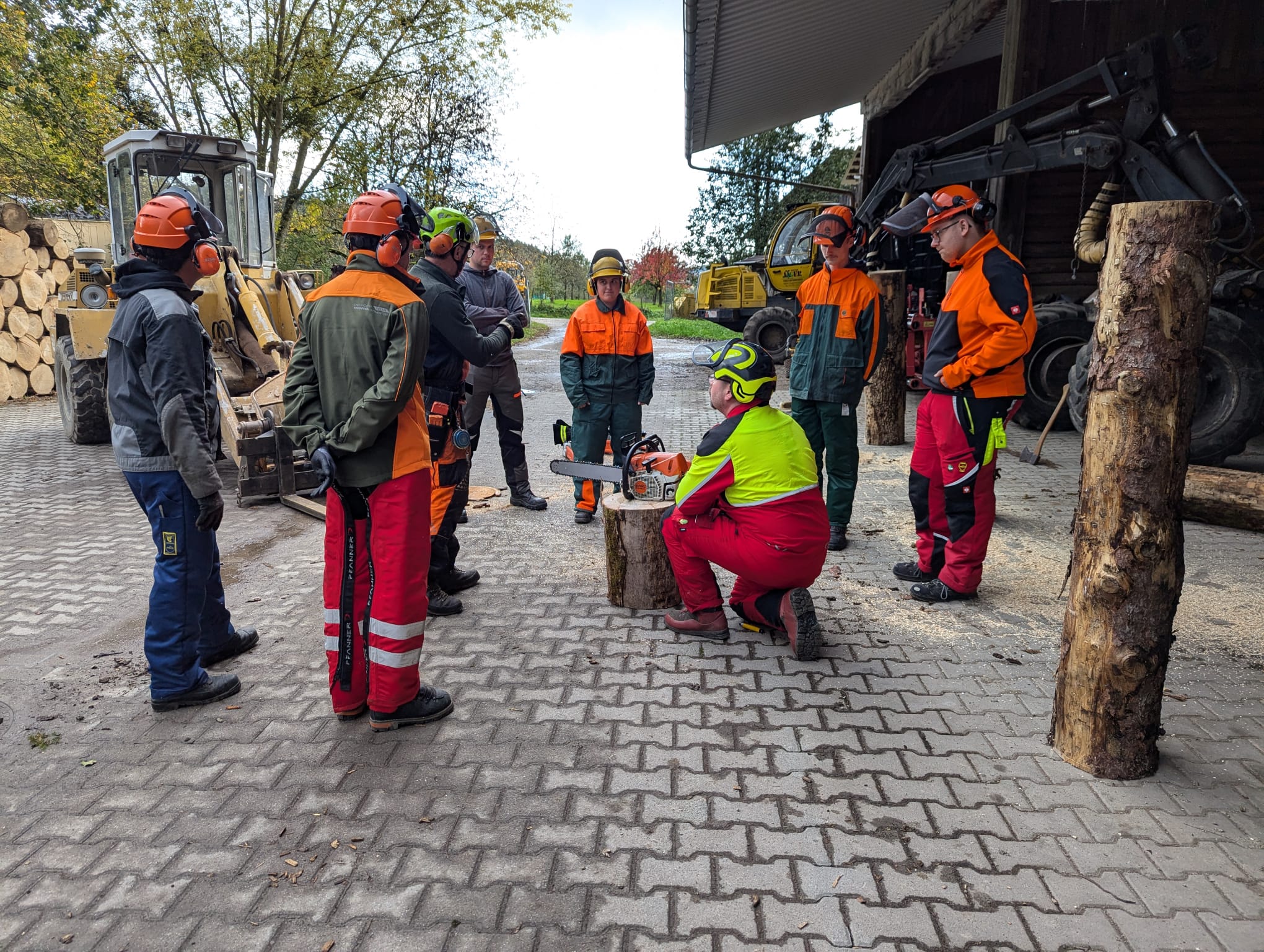 Schulung Motorsägen